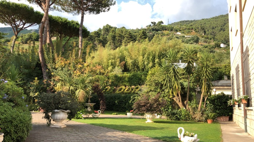 151AC972-1681-4955-95E6-7B1E37591108